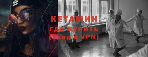 индика Гусь-Хрустальный