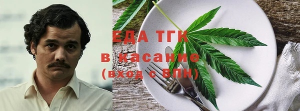 прущие грибы Гусев